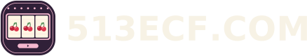 513ECF.COM