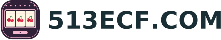 513ECF.COM